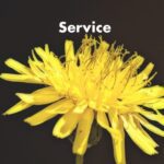 Hearing loss care
