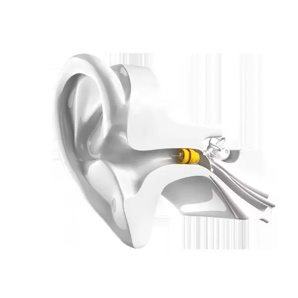 Invisible hearing aid