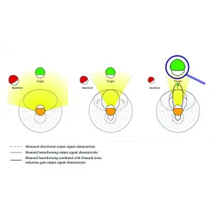 understanding directional microphones in hearing aids: what they are and why they matter