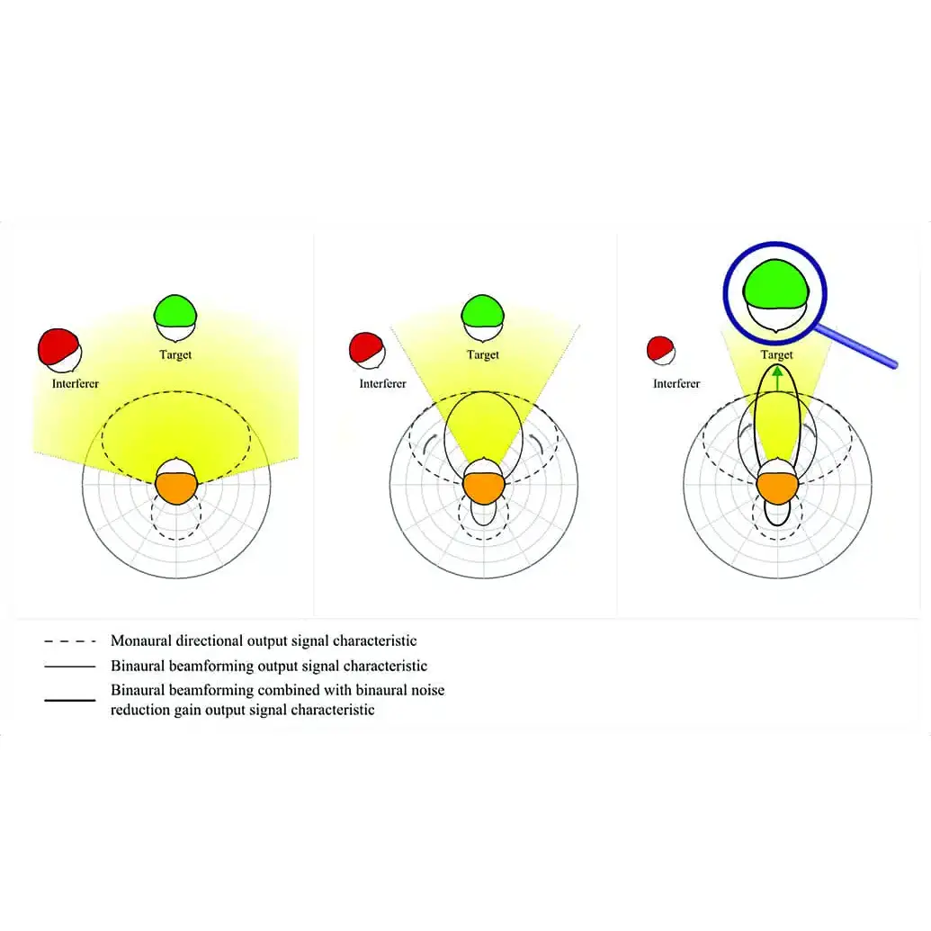 understanding directional microphones in hearing aids: what they are and why they matter